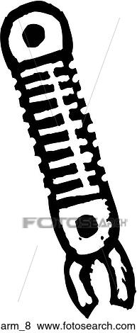 Arm 8 View Large Clip Art Graphic Clip Art - Arm 8. Fotosearch