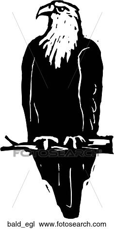 Clipart - Bald Eagle. Fotosearch