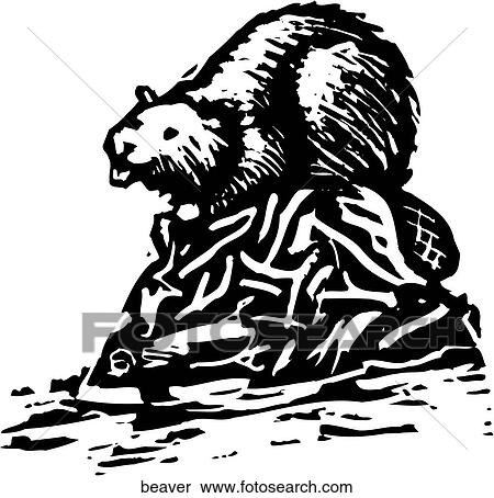 Clipart - Beaver. Fotosearch