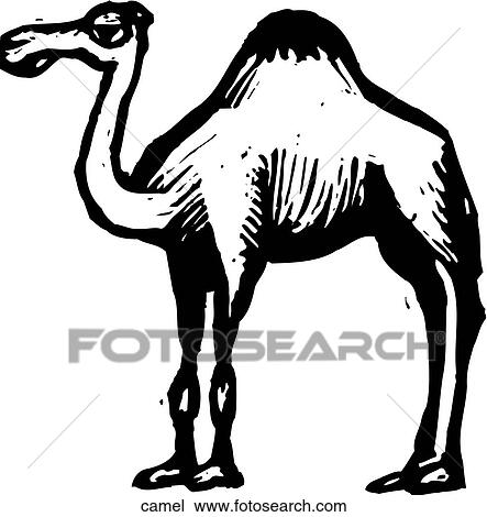 Clipart - Camel. Fotosearch