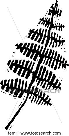 Fern 1 View Large Clip Art Graphic Clipart - Fern 1. Fotosearch