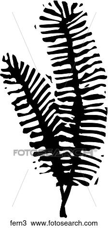 Clipart - Fern 3. Fotosearch
