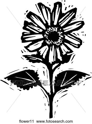 Clipart - Flower 11. Fotosearch