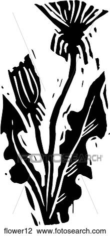 Clipart - Flower 12. Fotosearch