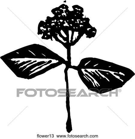 Flower 13 View Large Clip Art Graphic Clipart - Flower 13. Fotosearch