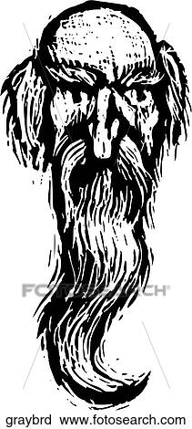 Clipart - Gray Beard. Fotosearch