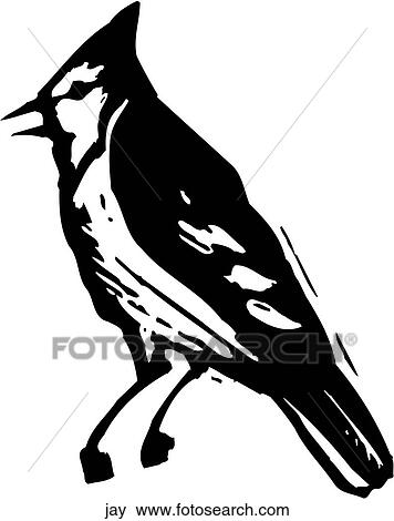 Clip Art - Jay. Fotosearch