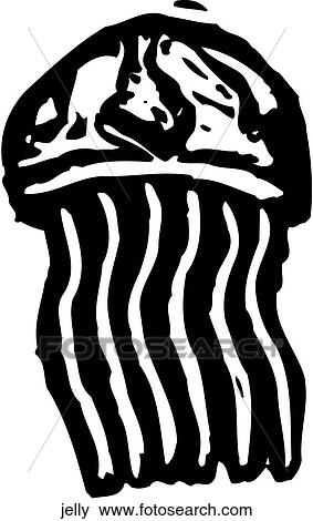 Clip Art - Jellyfish. Fotosearch