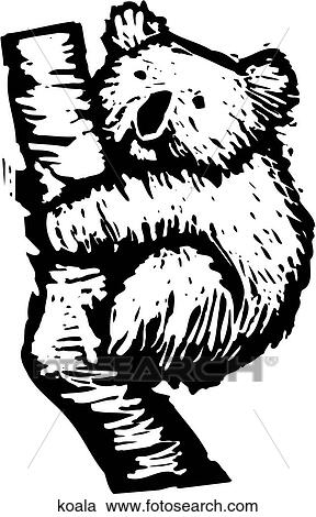 Clipart - Koala. Fotosearch