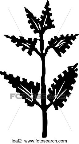 Clipart - Leaf 2. Fotosearch