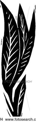 Clipart - Leaf 4. Fotosearch