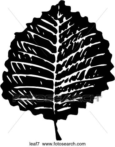 Clip Art - Leaf 7. Fotosearch