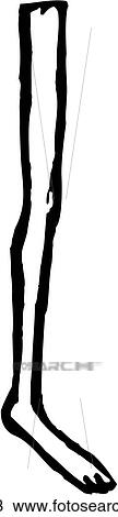 Clipart - Leg 13. Fotosearch
