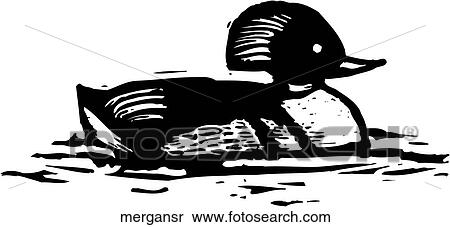 Merganser View Large Clip Art Graphic Clipart - Merganser. Fotosearch