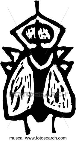 Clipart - Musca. Fotosearch