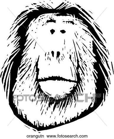 Clipart - Orangutan. Fotosearch