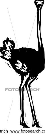 Ostrich View Large Clip Art Graphic Clipart - Ostrich. Fotosearch