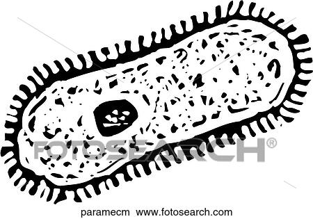 Clipart - Paramecium. Fotosearch