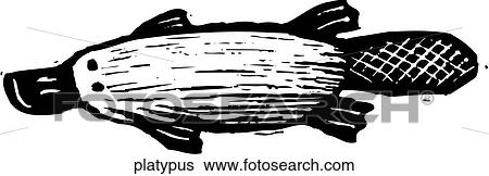 Platypus View Large Clip Art Graphic Clip Art - Platypus. Fotosearch