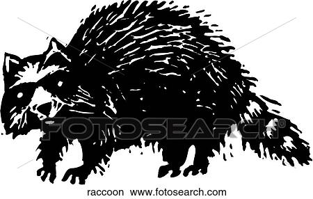 Raccoon View Large Clip Art Graphic Clipart - Raccoon. Fotosearch
