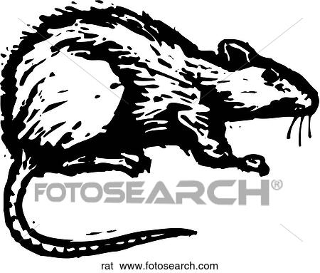 Clip Art - Rat. Fotosearch