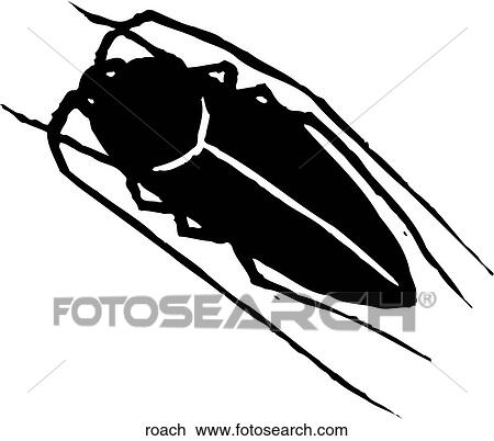 Clipart - Roach. Fotosearch