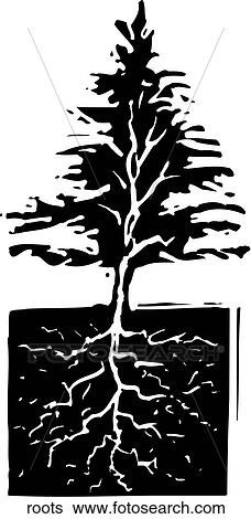 Roots View Large Clip Art Graphic Clip Art - Roots. Fotosearch