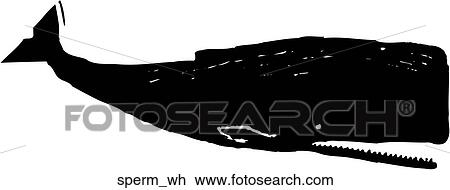 Clipart - Sperm Whale. Fotosearch