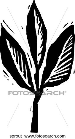 Sprout View Large Clip Art Graphic Clip Art - Sprout. Fotosearch