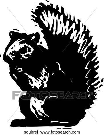 Squirrel View Large Clip Art Graphic Clipart - Squirrel. Fotosearch