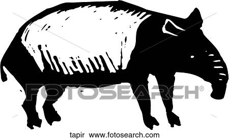 Tapir View Large Clip Art Graphic Clipart - Tapir. Fotosearch