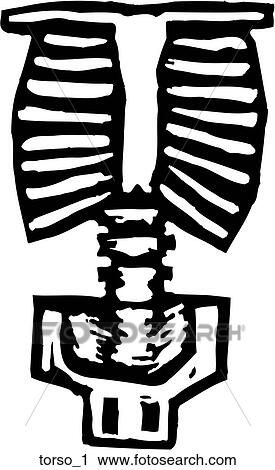 Clipart - Torso 1. Fotosearch