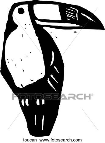 Toucan View Large Clip Art Graphic Clipart - Toucan. Fotosearch