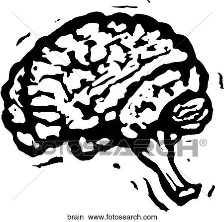 Brain View Large Clip Art Graphic Clipart - Brain. Fotosearch