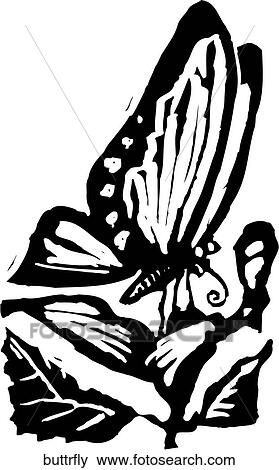 Butterfly View Large Clip Art Graphic Clip Art - Butterfly. Fotosearch