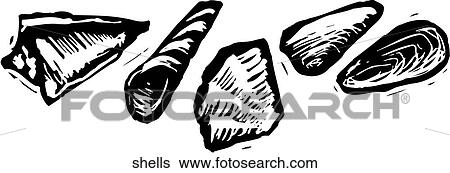 Clip Art - Shells. Fotosearch