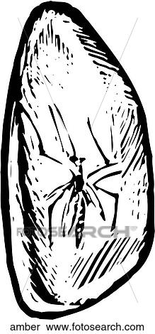 Amber View Large Clip Art Graphic Clipart - Amber. Fotosearch