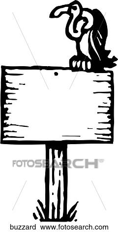Clipart - Buzzard. Fotosearch