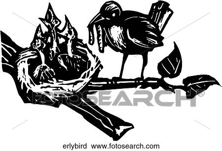 Clipart - Early Bird. Fotosearch