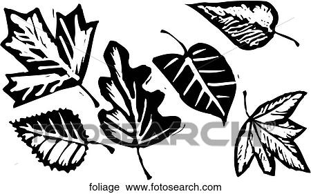 Clipart - Foliage. Fotosearch