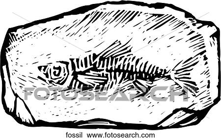 Fossil Clipart | fossil | Fotosearch