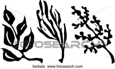 Herbals View Large Clip Art Graphic Clip Art - Herbals. Fotosearch