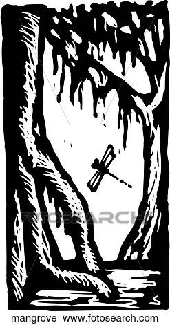 Clipart - Mangrove. Fotosearch
