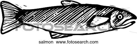 Clipart - Salmon. Fotosearch