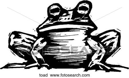 ヒキガエル クリップアート 切り張り イラスト 絵画 集 Toad Fotosearch