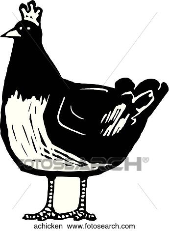Clipart - A Chicken. Fotosearch