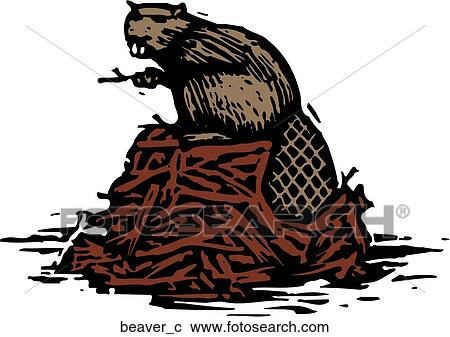 Clipart - Beaver. Fotosearch