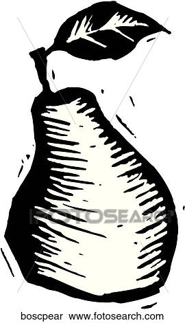 Clipart - Bosc Pear. Fotosearch
