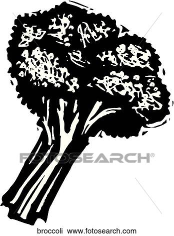 Broccoli View Large Clip Art Graphic Clipart - Broccoli. Fotosearch