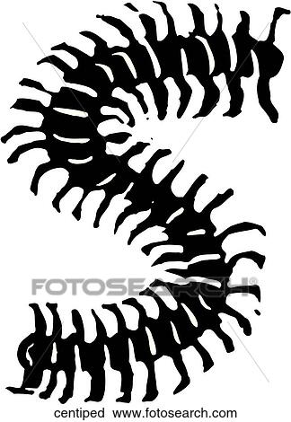 Centipede View Large Clip Art Graphic Clipart - Centipede. Fotosearch